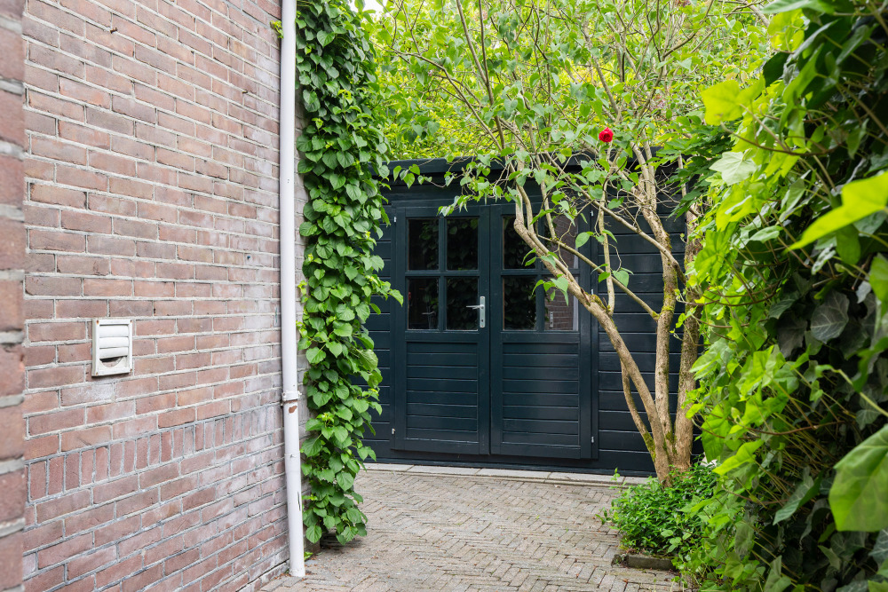 Foto 37 1000w